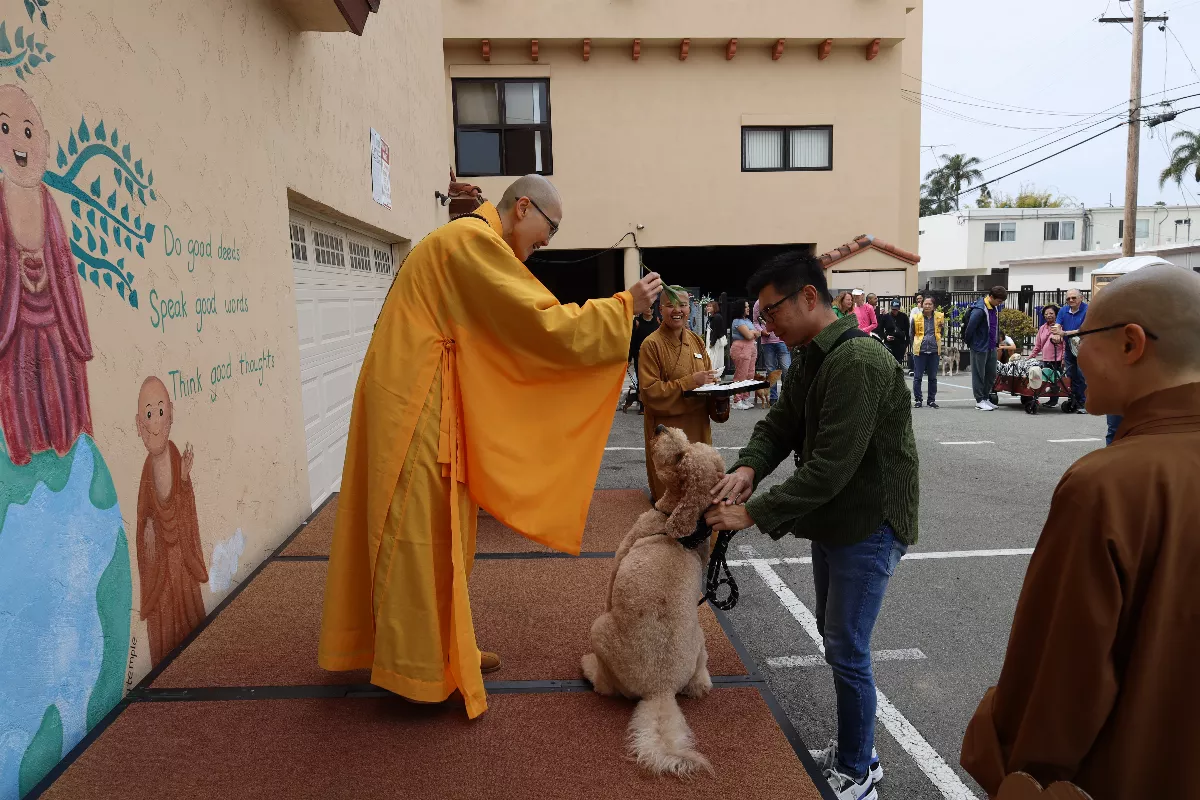 Hsi Fang Temple Fur Baby Walking and Blessing Ceremony: Connecting the Community of University Heights